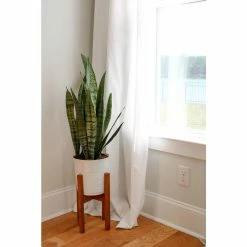Vigoro 6 in. Sansevieria Snake Plant in Black Decor Pot 9 Vigoro 6 in. Sansevieria Snake Plant in Black Decor Pot -Green Haven Store vigoro indoor plants sans6vigoro c3 1000