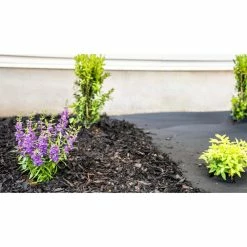 Vigoro 4 ft. x 50 ft. Point Bond Landscape Fabric -Green Haven Store vigoro landscape fabric nmv04050b 44 1000