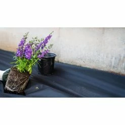 Vigoro 4 ft. x 50 ft. Point Bond Landscape Fabric -Green Haven Store vigoro landscape fabric nmv04050b c3 1000