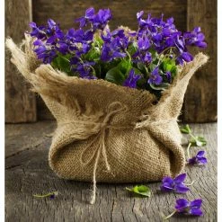 Vigoro 3 ft. x 24 ft. 100% Natural Burlap Landscape Fabric (2-Pack) -Green Haven Store vigoro landscape fabric nmvb0324 2pk c3 1000