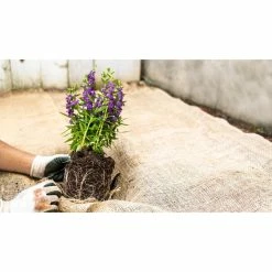 Vigoro 3 ft. x 24 ft. 100% Natural Burlap Landscape Fabric -Green Haven Store vigoro landscape fabric nmvb0324 c3 1000