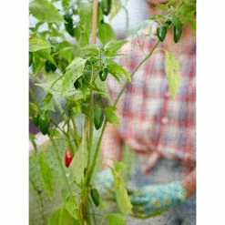 Vigoro 14 ft. x 14 ft. Polypropylene Bird Block Netting and Barrier -Green Haven Store vigoro landscape fabric nmvbb1414 1f 1000