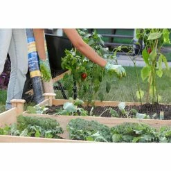 Vigoro 14 ft. x 14 ft. Polypropylene Bird Block Netting and Barrier -Green Haven Store vigoro landscape fabric nmvbb1414 44 1000