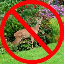 Vigoro 7 ft. x 100 ft. Polypropylene Deer Block Netting Barrier, UV Treated -Green Haven Store vigoro landscape fabric nmvdb07100h 77 1000