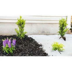 Vigoro 4 ft. x 100 ft. Matrix Grid Landscape Weed Control Fabric -Green Haven Store vigoro landscape fabric vpnm410085 31 1000