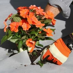 Vigoro 4 ft. x 50 ft. Matrix Grid Heavy-Duty Landscape Fabric (4-Pack) -Green Haven Store vigoro landscape fabric vpnm45085 4pk 66 1000