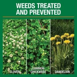 Vigoro 32 lbs. 10,000 sq. ft. Weed and Feed Weed Killer Plus Lawn Fertilizer for Florida Grass Types 14 Vigoro 32 lbs. 10,000 sq. ft. Weed and Feed Weed Killer Plus Lawn Fertilizer for Florida Grass Types -Green Haven Store vigoro lawn fertilizers 22562 1 c3 1000