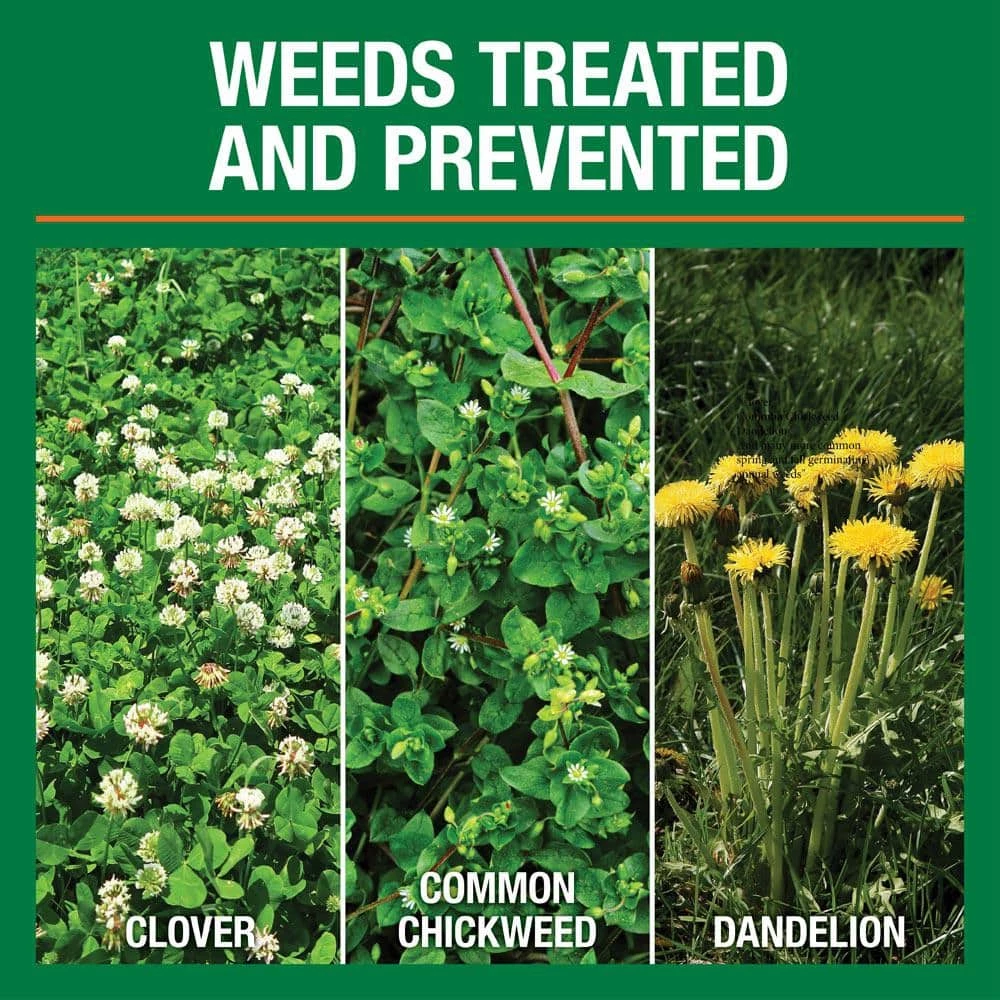 Vigoro 32 lbs. 10,000 sq. ft. Weed and Feed Weed Killer Plus Lawn Fertilizer for Florida Grass Types 5 Vigoro 32 lbs. 10,000 sq. ft. Weed and Feed Weed Killer Plus Lawn Fertilizer for Florida Grass Types - Image 3