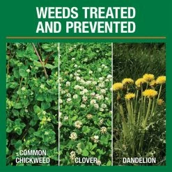 Vigoro 14.6 lbs. 5,000 sq. ft. Weed and Feed Weed Killer Plus Lawn Fertilizer 14 Vigoro 14.6 lbs. 5,000 sq. ft. Weed and Feed Weed Killer Plus Lawn Fertilizer -Green Haven Store vigoro lawn fertilizers 52210 c3 1000