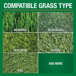 Vigoro Super Green 16 lbs. 6,220 sq. ft. Lawn Fertilizer with 5% Iron for Green Grass -Green Haven Store vigoro lawn fertilizers 62201 4f 1000