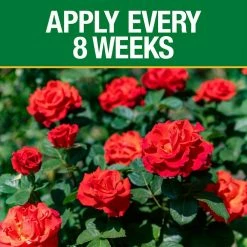 Vigoro 3.5 lb. All Season Rose Plant Food (12-6-10) 13 Vigoro 3.5 lb. All Season Rose Plant Food (12-6-10) -Green Haven Store vigoro plant food fertilizer 124250 1f 1000