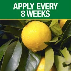 Vigoro 3.5 lb. All Season Citrus and Avocado Plant Food (6-4-6) -Green Haven Store vigoro plant food fertilizer 133244 1f 1000