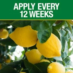 Vigoro 4.2 lb. All Season Fruit, Nut and Citrus Fertilizer Spikes (16-4-8) (15-Count) 9 Vigoro 4.2 lb. All Season Fruit, Nut and Citrus Fertilizer Spikes (16-4-8) (15-Count) -Green Haven Store vigoro plant food fertilizer 154306 1f 1000