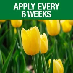 Vigoro 3.5 lb. All Season Bulb Fuel Plant Food (9-9-6) -Green Haven Store vigoro plant food fertilizer 156269 1f 1000