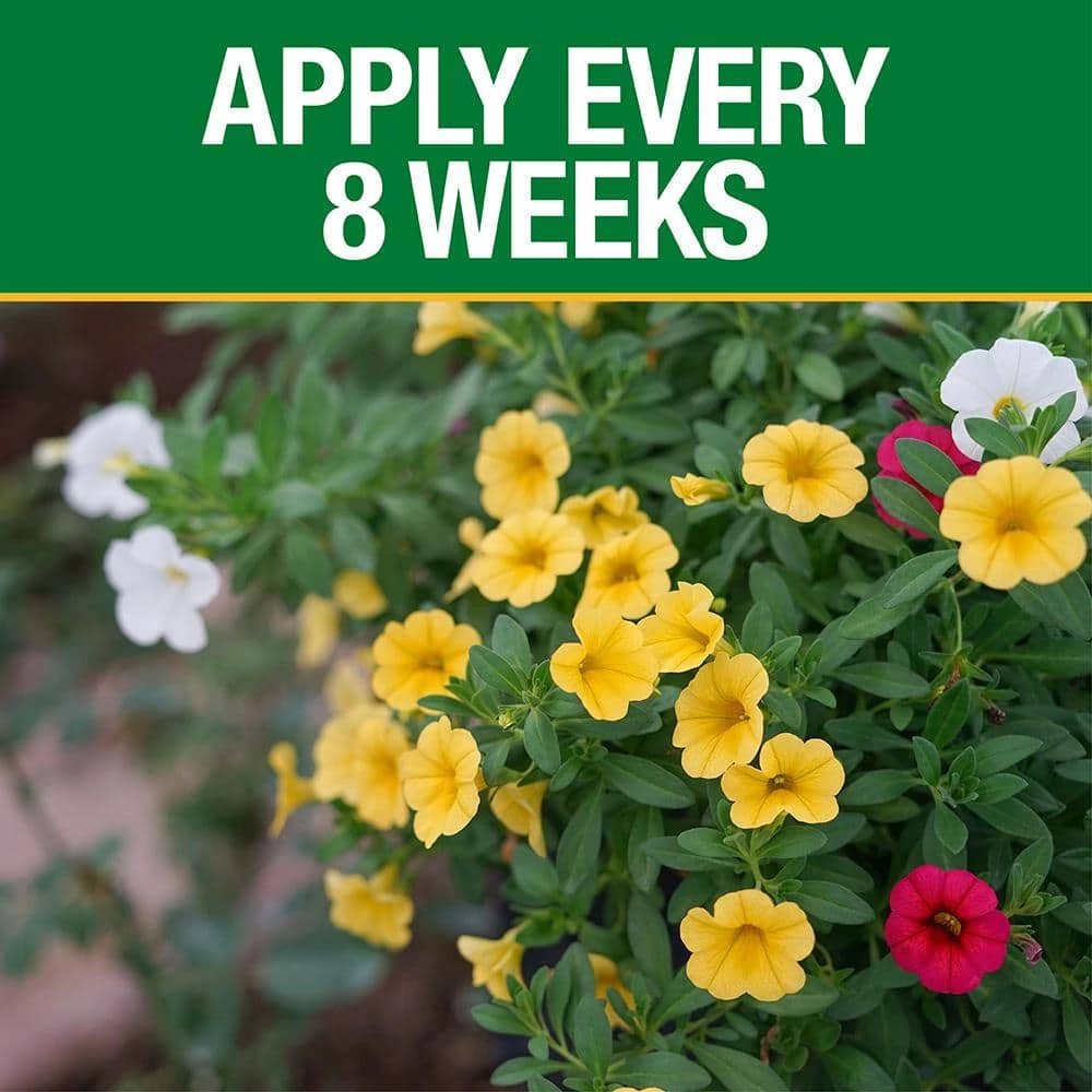 Vigoro 14 lb. All Season Bold Blooms Flowering Plant Food (15-30-15) 6 Vigoro 14 lb. All Season Bold Blooms Flowering Plant Food (15-30-15) - Image 4