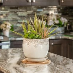 Vigoro 10 in. Bamboo Plant Saucer -Green Haven Store vigoro planter saucers bbs10vg 1f 1000