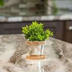 Vigoro 4 in. Bamboo Plant Saucer -Green Haven Store vigoro planter saucers bbs4vg 1f 1000