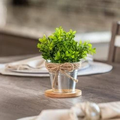 Vigoro 4 in. Bamboo Plant Saucer -Green Haven Store vigoro planter saucers bbs4vg 44 1000