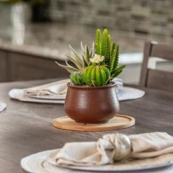 Vigoro 8 in. Bamboo Plant Saucer -Green Haven Store vigoro planter saucers bbs8vg 1f 1000