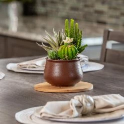 Vigoro 8 in. Bamboo Plant Saucer -Green Haven Store vigoro planter saucers bbs8vg 44 1000