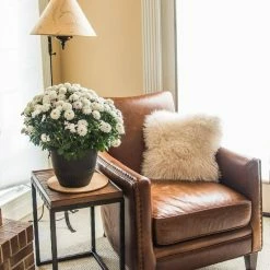 Vigoro 10 in. Cork Mat -Green Haven Store vigoro planter saucers cm10phbdi 1f 1000