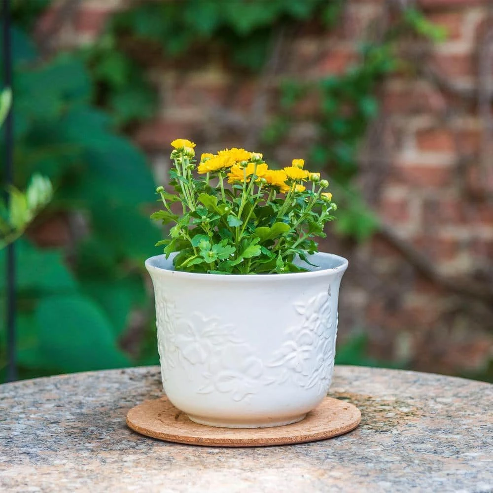 Vigoro 6 in. Cork Mat 4 Vigoro 6 in. Cork Mat - Image 2