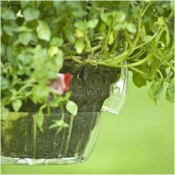 Vigoro Drip Catcher Hanging Saucer -Green Haven Store vigoro planter saucers hb10hbdi 31 1000