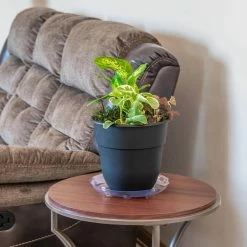 Vigoro 10 in. Heavy Duty Plant Saucer -Green Haven Store vigoro planter saucers sp10vg 4f 1000