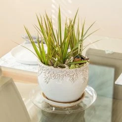 Vigoro 12 in. Heavy Duty Plant Saucer -Green Haven Store vigoro planter saucers sp12vg 4f 1000