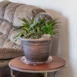 Vigoro 14 in. Heavy Duty Plant Saucer -Green Haven Store vigoro planter saucers sp14vg 44 1000