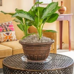 Vigoro 14 in. Heavy Duty Plant Saucer -Green Haven Store vigoro planter saucers sp14vg 4f 1000