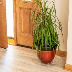 Vigoro 16 in. Heavy Duty Planter Saucer -Green Haven Store vigoro planter saucers sp16vg 44 1000