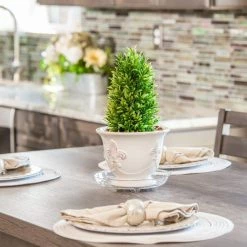 Vigoro 6 in. Heavy Duty Plant Saucer -Green Haven Store vigoro planter saucers sp6vg 1f 1000