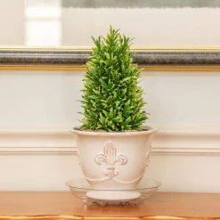 Vigoro 8 in. Heavy Duty Plant Saucer -Green Haven Store vigoro planter saucers sp8vg 1f 1000