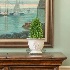 Vigoro 8 in. Heavy Duty Plant Saucer -Green Haven Store vigoro planter saucers sp8vg 44 1000