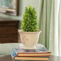 Vigoro 8 in. Heavy Duty Plant Saucer -Green Haven Store vigoro planter saucers sp8vg fa 1000