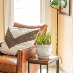 Vigoro 10 in. Plastic Plant Saucer 11 Vigoro 10 in. Plastic Plant Saucer -Green Haven Store vigoro planter saucers vs10vg 1f 1000