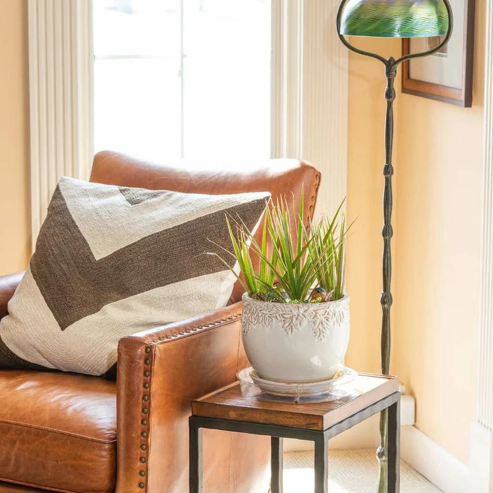 Vigoro 10 in. Plastic Plant Saucer 6 Vigoro 10 in. Plastic Plant Saucer - Image 4