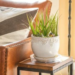 Vigoro 10 in. Plastic Plant Saucer 12 Vigoro 10 in. Plastic Plant Saucer -Green Haven Store vigoro planter saucers vs10vg 44 1000