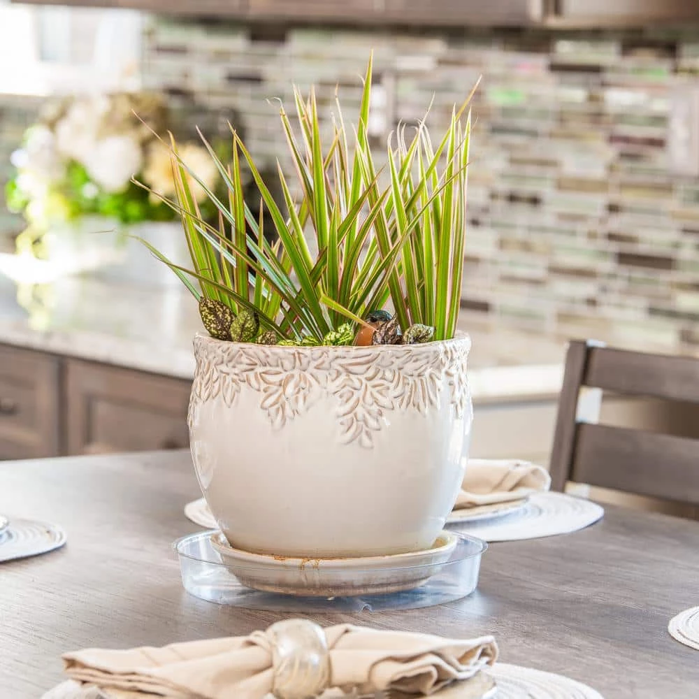 Vigoro 10 in. Plastic Plant Saucer 5 Vigoro 10 in. Plastic Plant Saucer - Image 3