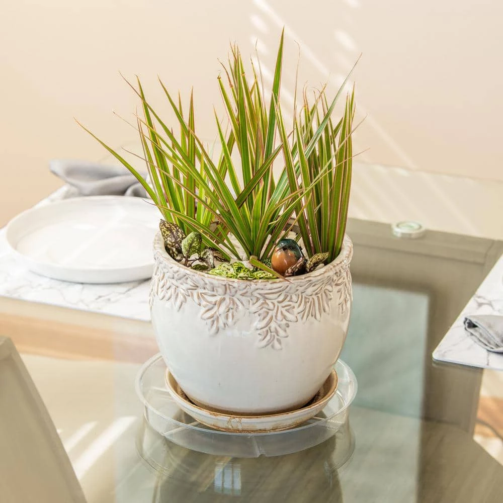 Vigoro 10 in. Plastic Plant Saucer 4 Vigoro 10 in. Plastic Plant Saucer - Image 2