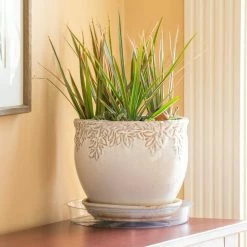 Vigoro 10 in. Plastic Plant Saucer 13 Vigoro 10 in. Plastic Plant Saucer -Green Haven Store vigoro planter saucers vs10vg fa 1000