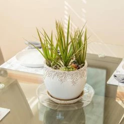 Vigoro 12 in. Plastic Plant Saucer 9 Vigoro 12 in. Plastic Plant Saucer -Green Haven Store vigoro planter saucers vs12vg 44 1000