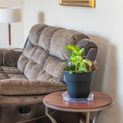 Vigoro 12 in. Plastic Plant Saucer 8 Vigoro 12 in. Plastic Plant Saucer -Green Haven Store vigoro planter saucers vs12vg 4f 1000