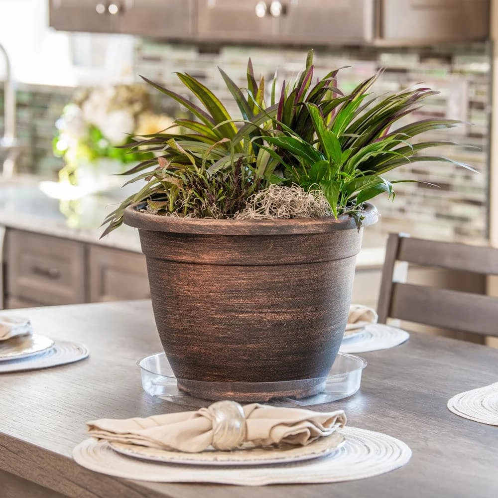 Vigoro 12 in. Plastic Plant Saucer 4 Vigoro 12 in. Plastic Plant Saucer - Image 2