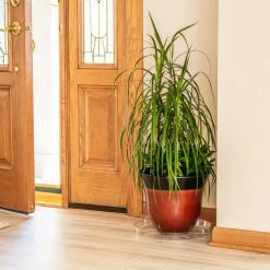 Vigoro 14 in. Plastic Plant Saucer -Green Haven Store vigoro planter saucers vs14vg 1f 1000