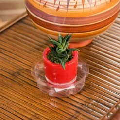 Vigoro 4 in. Plastic Plant Saucer -Green Haven Store vigoro planter saucers vs4vg 4f 1000