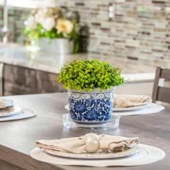 Vigoro 6 in. Plastic Plant Saucer 9 Vigoro 6 in. Plastic Plant Saucer -Green Haven Store vigoro planter saucers vs6vg 1f 1000