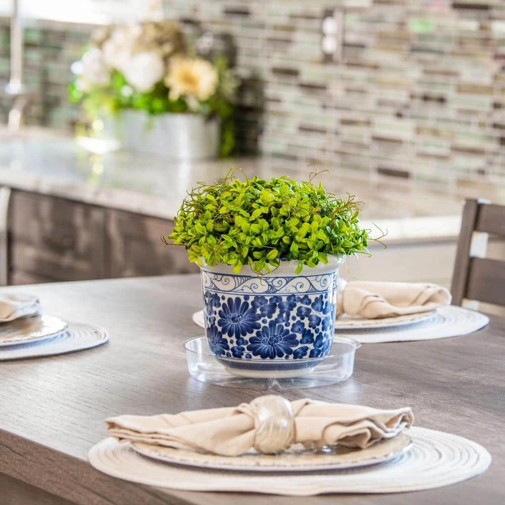 Vigoro 6 in. Plastic Plant Saucer 6 Vigoro 6 in. Plastic Plant Saucer - Image 4