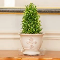 Vigoro 8 in. Plastic Plant Saucer 16 Vigoro 8 in. Plastic Plant Saucer -Green Haven Store vigoro planter saucers vs8vg fa 1000